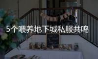 5个喂养地下城私服共鸣装备的技巧