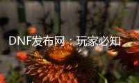 DNF发布网：玩家必知的游戏信息中枢